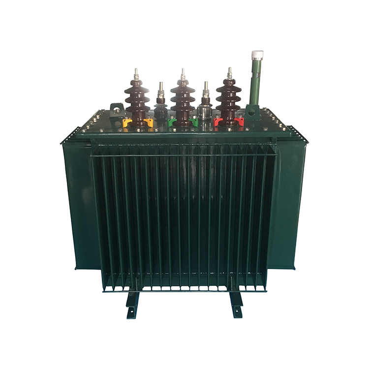 S11 160kVA 10kV 400V الشركة المصنعة لمحولات التوزيع المغمورة بالزيت ثلاثي الطور المخصص