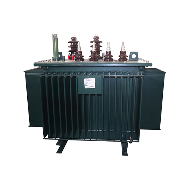 S11 160kVA 10kV 400V الشركة المصنعة لمحولات التوزيع المغمورة بالزيت ثلاثي الطور المخصص